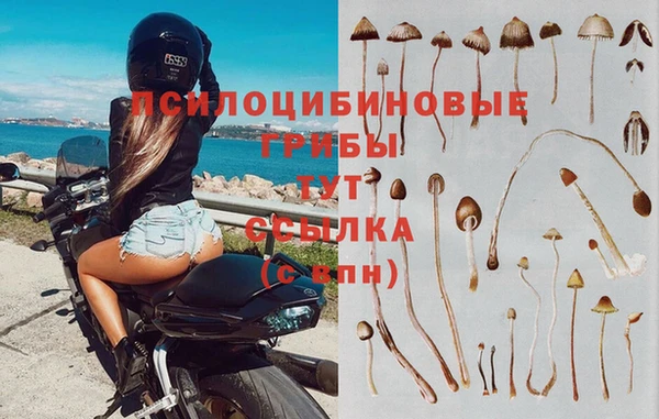 MESCALINE Рославль