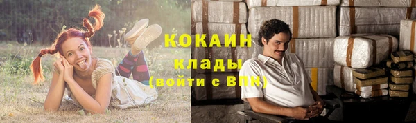 соль ск Алексин