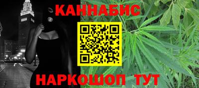 индика Рузаевка