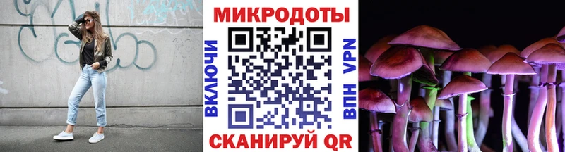 Псилоцибиновые грибы Cubensis  Тайшет 