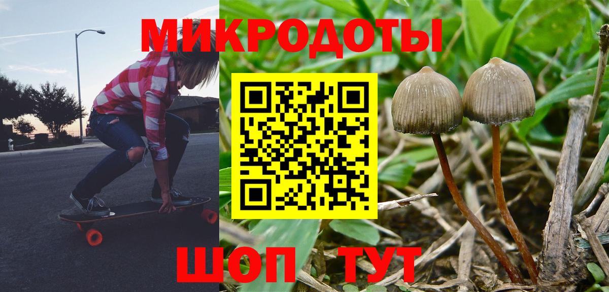 Галлюциногенные грибы Psilocybe  Вход с VPN  наркошоп  Тайшет 