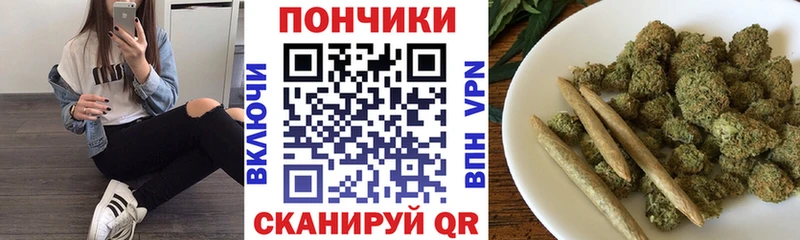МАРИХУАНА планчик  Тайшет 
